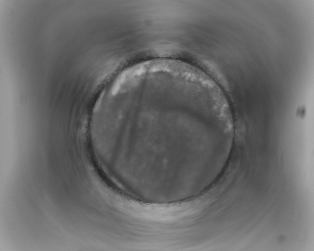 X0000089880018200707262218