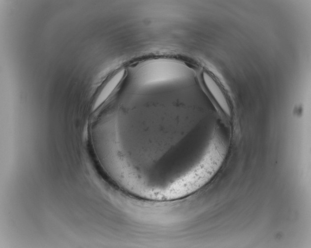 X0000089880019200707262218