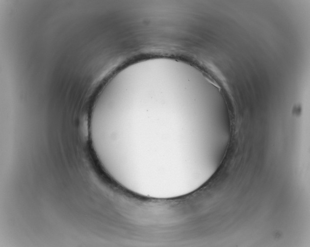 X0000089880020200707262218