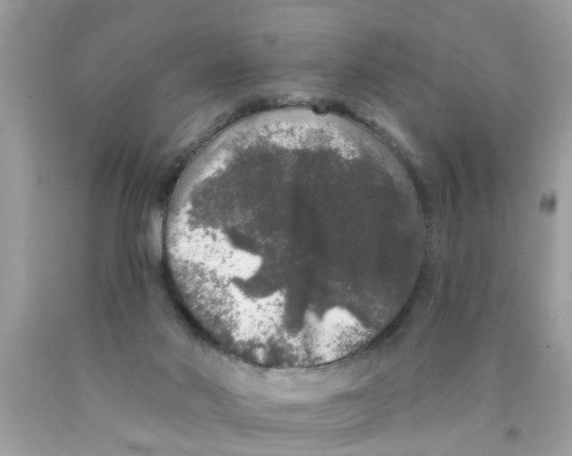 X0000089880022200707262218