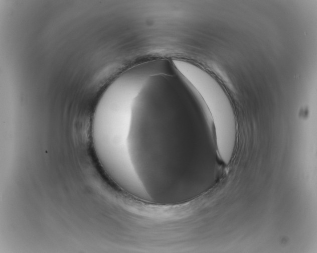 X0000089880023200707262218