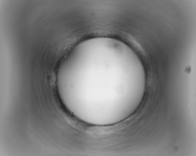 X0000089880025200707262218