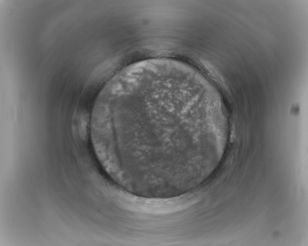 X0000089880026200707262218