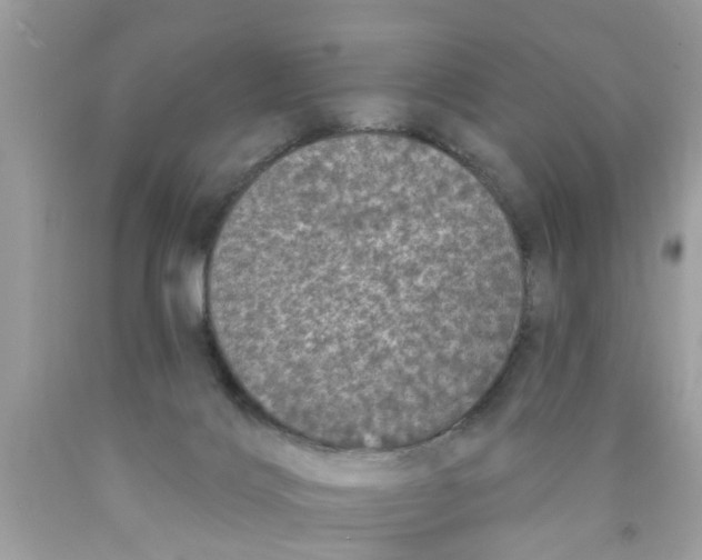 X0000089880028200707262218