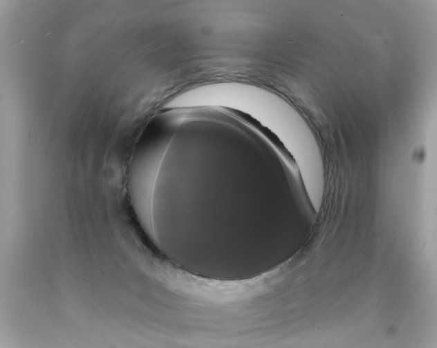 X0000089880031200707262218