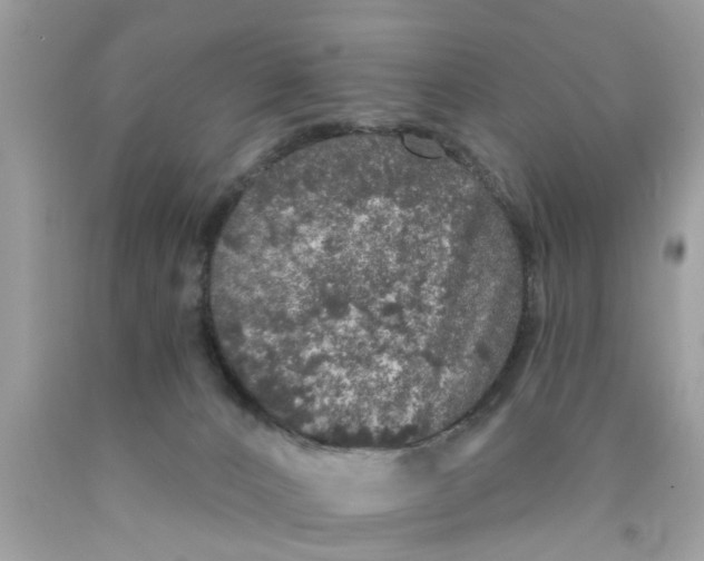 X0000089880032200707262218