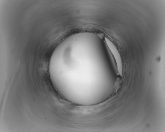 X0000089880033200707262218