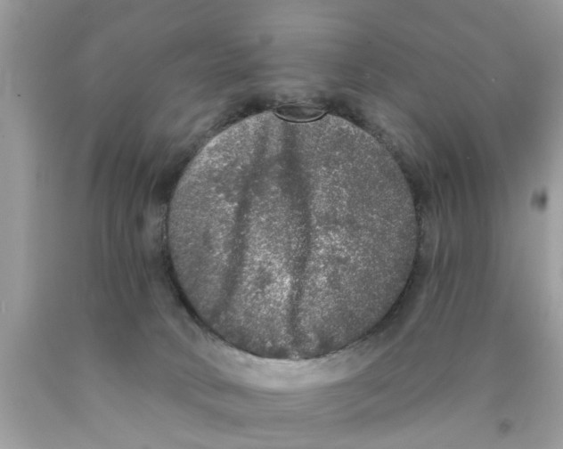 X0000089880034200707262218