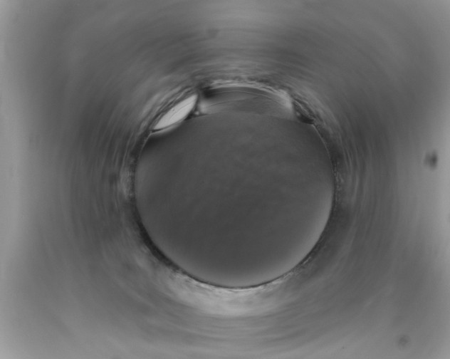 X0000089880035200707262218