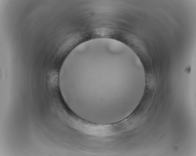 X0000089880036200707262218