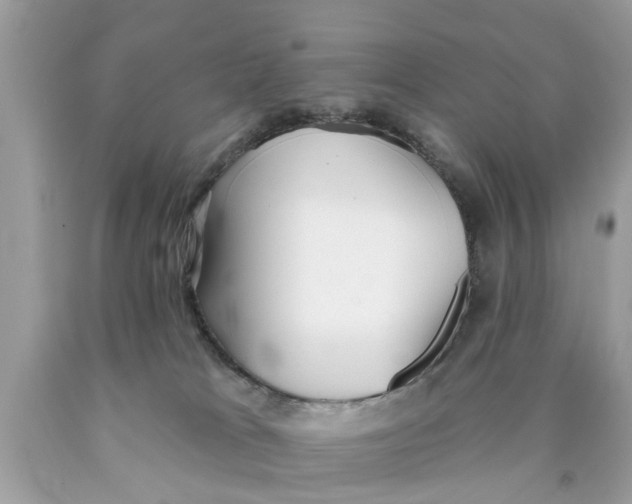 X0000089880037200707262218