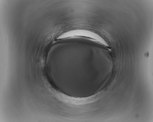 X0000089880039200707262218