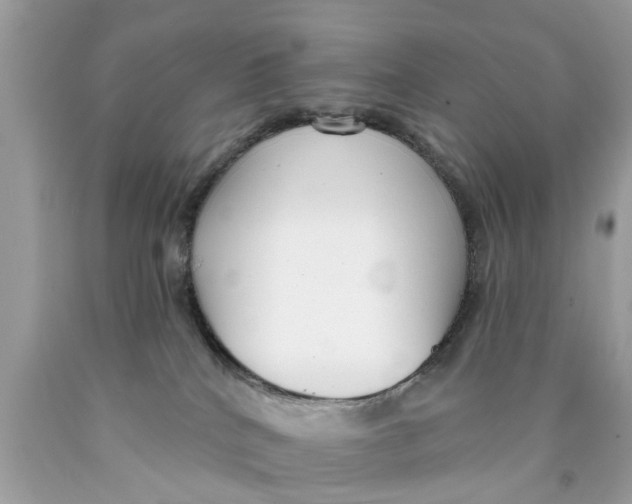 X0000089880040200707262218