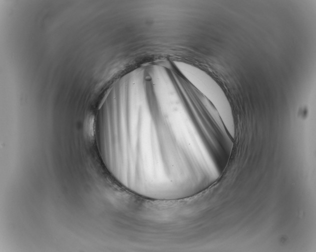 X0000089880041200707262218