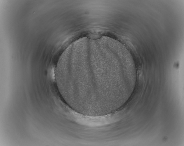 X0000089880042200707262218