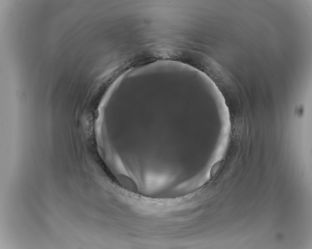 X0000089880043200707262218