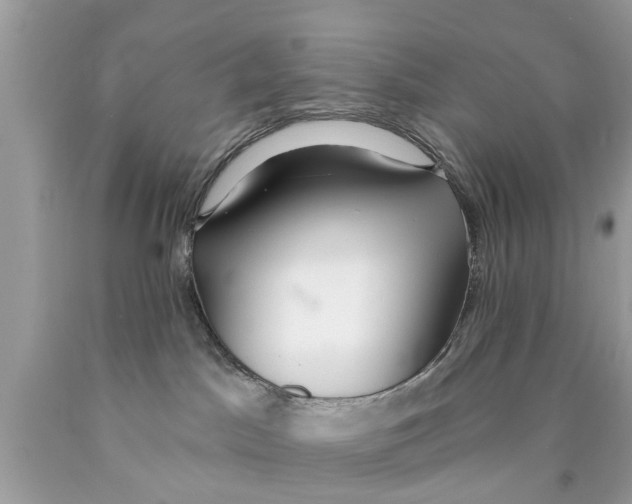 X0000089880045200707262218