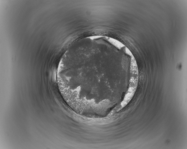 X0000089880046200707262218