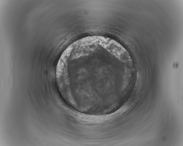 X0000089880048200707262218