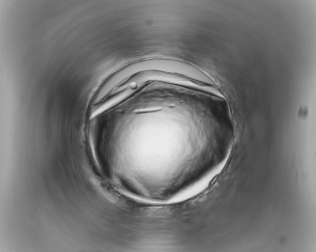 X0000089880050200707262218