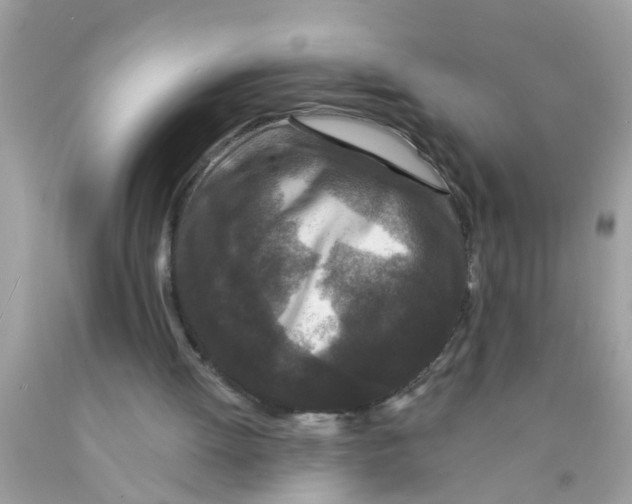 X0000089880052200707262218