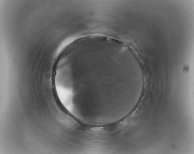 X0000089880054200707262218