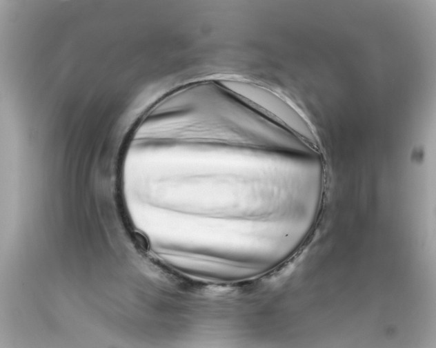 X0000089880055200707262218