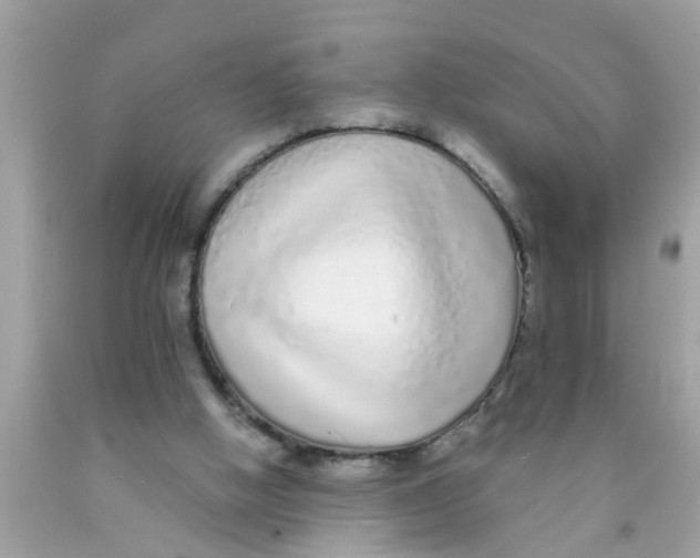 X0000089880058200707262218