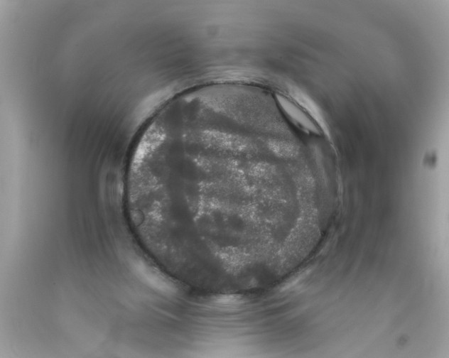 X0000089880059200707262218