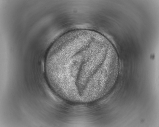 X0000089880061200707262218