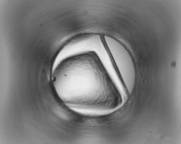 X0000089880062200707262218