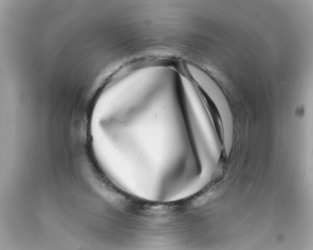 X0000089880064200707262218