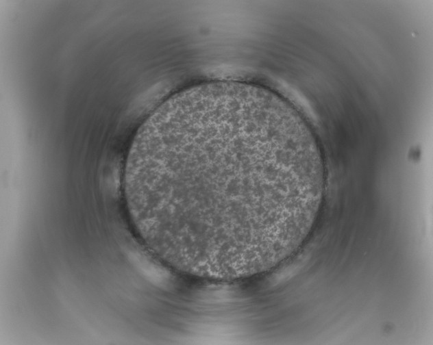 X0000089880065200707262218