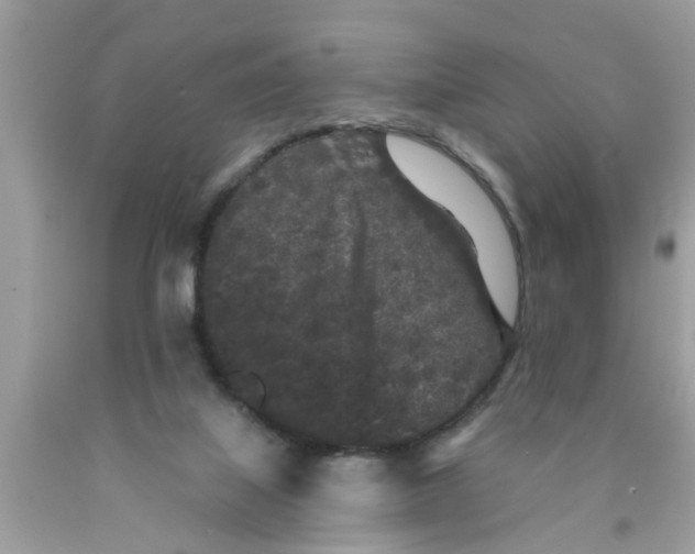 X0000089880067200707262218