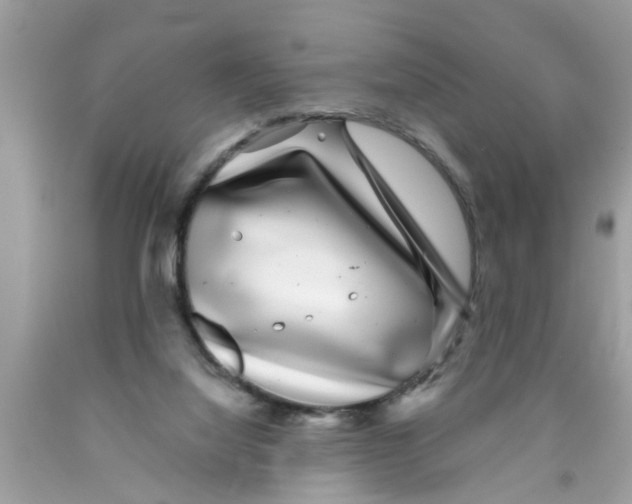 X0000089880068200707262218