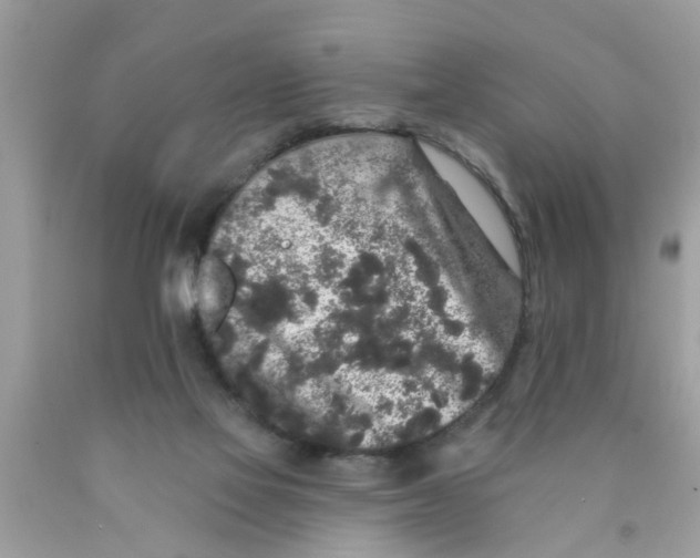 X0000089880069200707262218