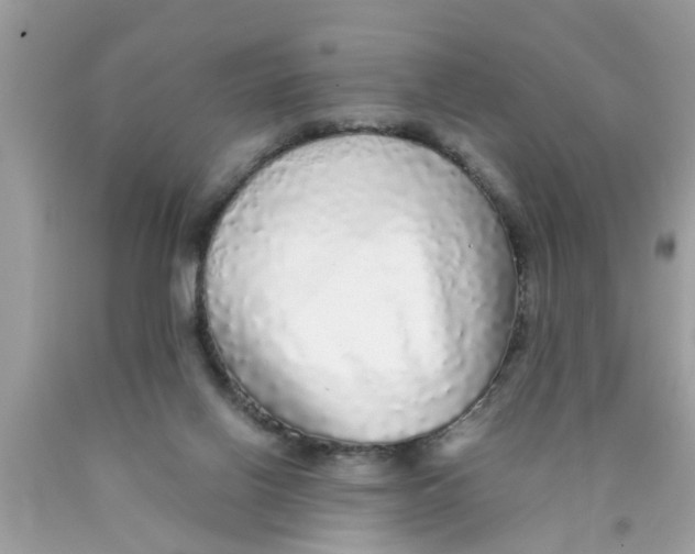 X0000089880070200707262218