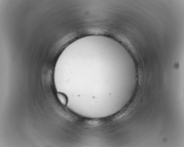 X0000089880071200707262218