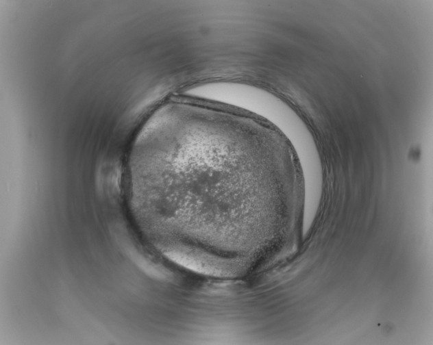 X0000089880072200707262218