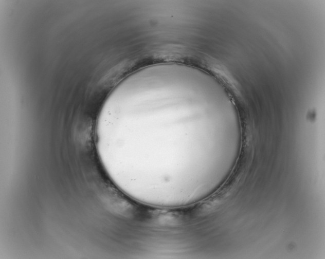 X0000089880073200707262218