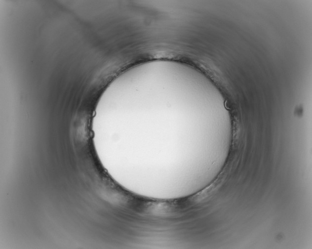 X0000089880074200707262218