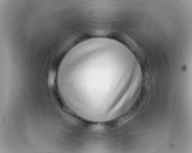 X0000089880075200707262218