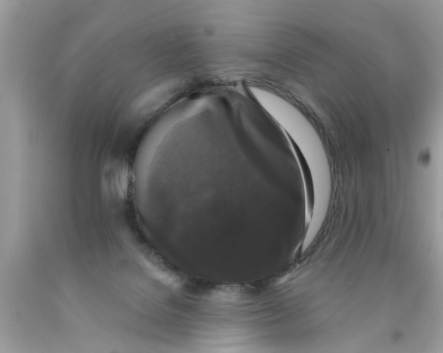 X0000089880076200707262218