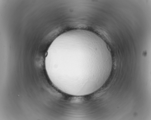 X0000089880077200707262218