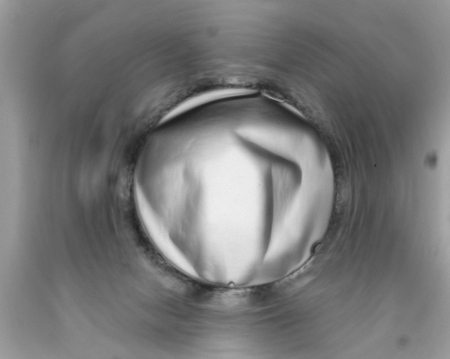 X0000089880078200707262218