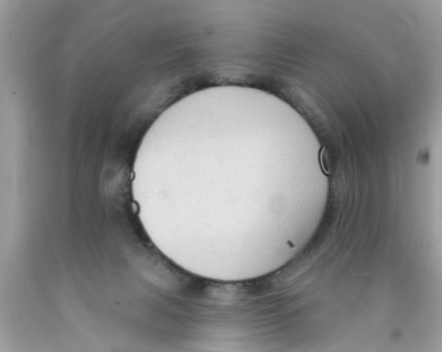 X0000089880079200707262218