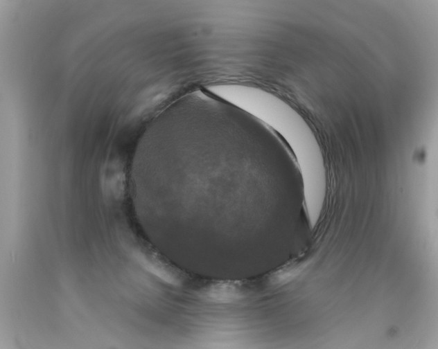 X0000089880080200707262218