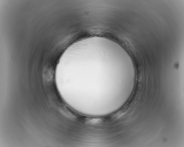 X0000089880081200707262218