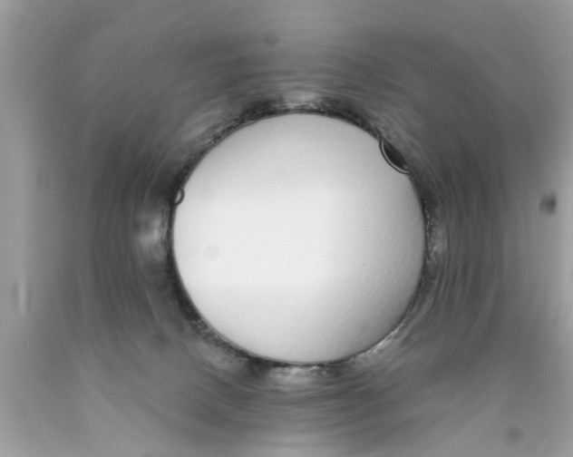 X0000089880082200707262218