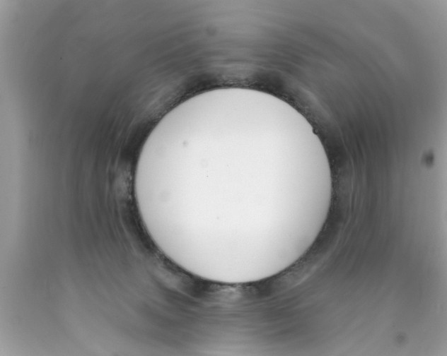 X0000089880083200707262218